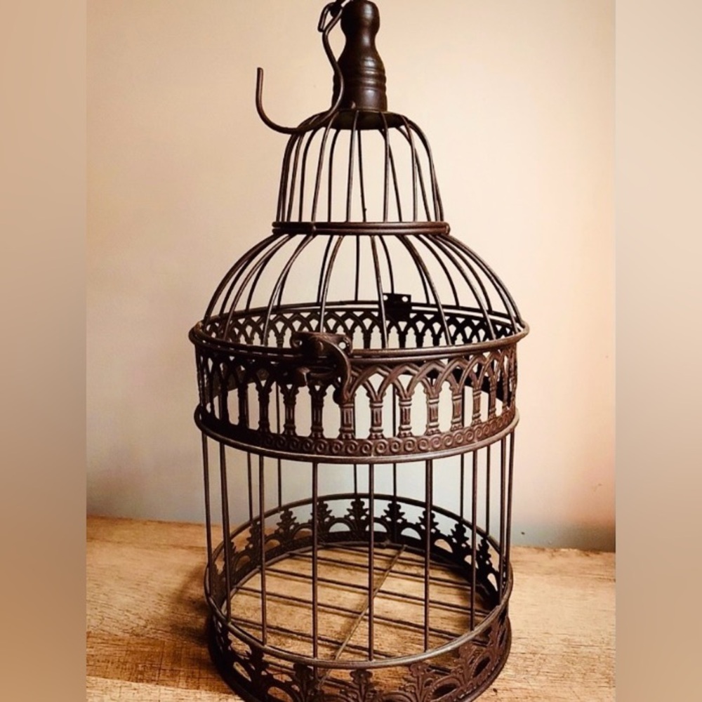 Vintage Victorian Style Hanging Iron Bird Cage - Antique Oddity Decor